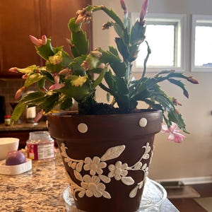 Terracotta pot