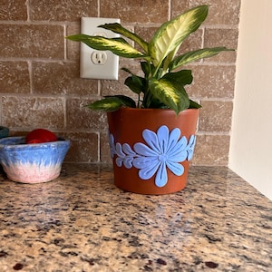 Terracotta pot with flowers