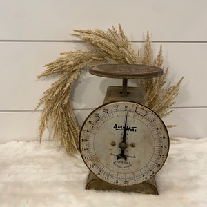 Antique AutoWate Kitchen Scale: Rustic Vintage Decor
