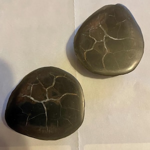 Tiny Pair of Septarian Nodules (Dragon Stone, Dragonstone) BB11-24