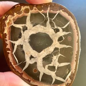 LARGE Pair of Septarian Nodules (Dragon Stone, Dragonstone) BB48
