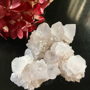BEAUTIFUL, White Fairy (Spirit, Cactus, Porcupine) Quartz Cluster with Record Keepers