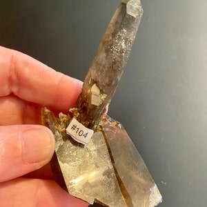 May include: A smoky quartz crystal cluster with a large, pointed central crystal and smaller crystals at the base. The crystals are a translucent brown color. A small white tag with the number "#104" is attached.
