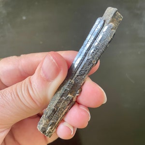 Aegirine stick, A Story Written on It...Record Keepers? ZA-7-20-22-18