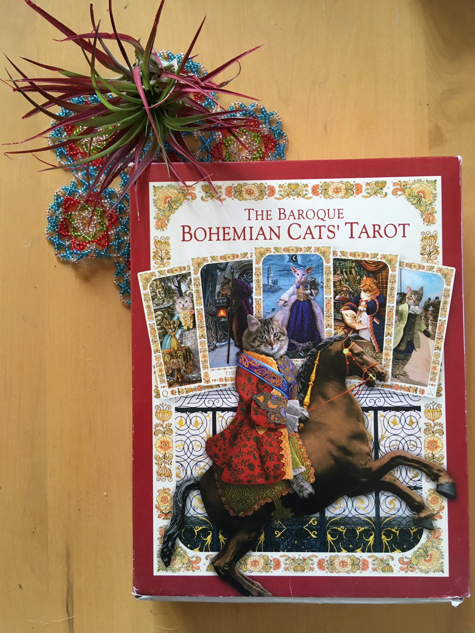RARE, Out of Print, Hard to Find, Baroque Bohemian Cats First 