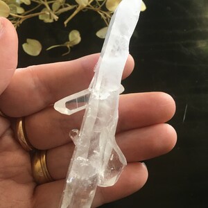 Gorgeous Quartz Cluster, Double Terminations, Cross Formation, Inner Child (Bridge) Crystal, Dolphin, Trigger Crystal