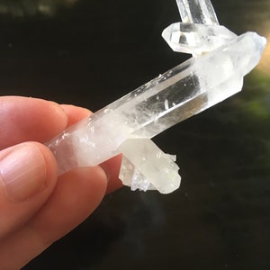 Unique Quartz Cluster, Double Terminations, Inner Child (Bridge) Crystal, Dolphin, Trigger Crystal, Some Barnacles