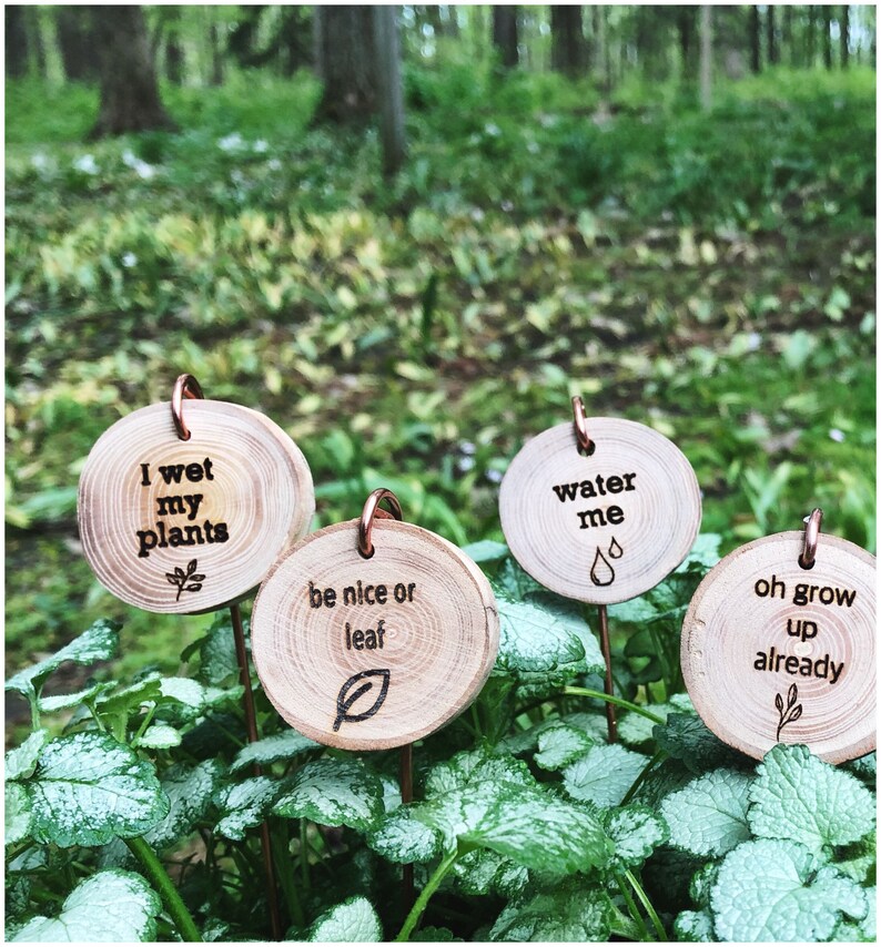 Wooden Plant Puns Garden Marker Puns Plant Puns Funny Etsy