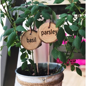 YOU CHOOSE 3 | Garden Markers | Herb Garden Markers | Garden Stakes | Herb Garden | Garden Accessories | Plant Markers | Herb Markers |