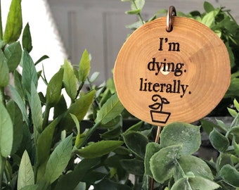 Funny Plant Pun Stakes: Wood Burned Garden Markers, Set of 5