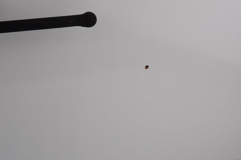 May include: A black, cylindrical object with a rounded end extends from the top left corner. A small, brown, circular object is in the center of a plain, light gray background.