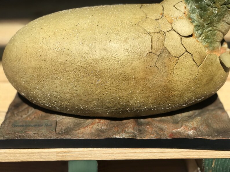 fossilized t rex egg
