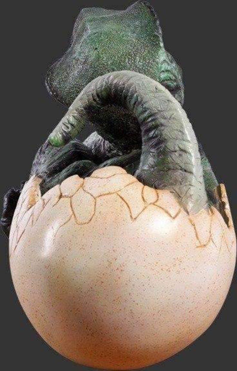 how big is a tyrannosaurus rex egg