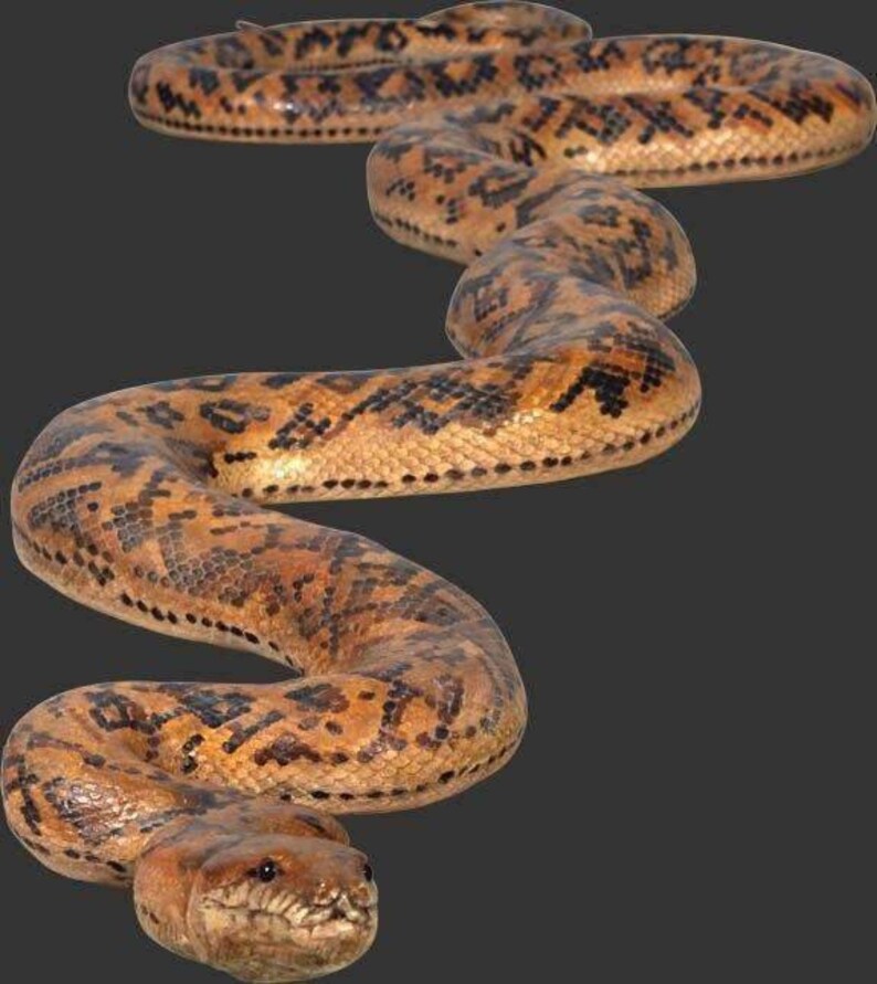 Snake Python Reptile Prop Life Size Resin Statue | Etsy