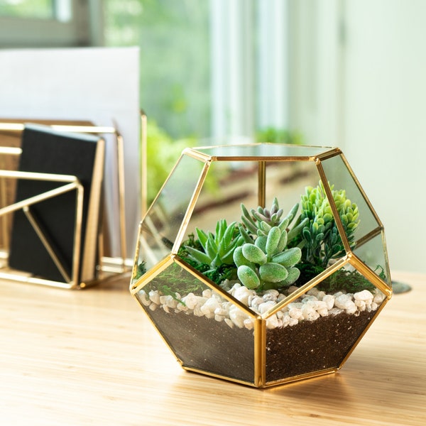 Glass Geometric Terrarium - Succulent Planter - Brass Container Box for Garden/Indoor/Home Decoration, Wedding Gift - Gold