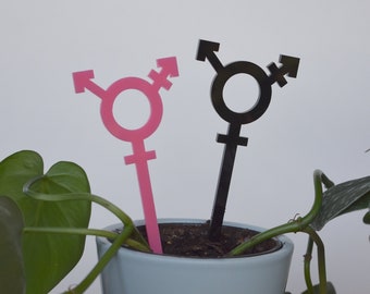 Transgender Symbool Planteninzet