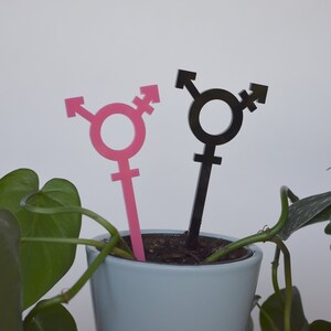 Transgender Symbol Plant Stake