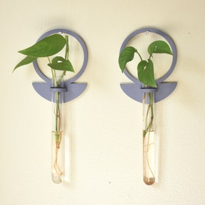 Circle Plant Propagation Station Wall Hanging