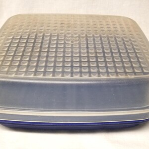 Puede incluir: Un recipiente cuadrado de plástico azul y transparente para guardar alimentos con una tapa texturizada. La tapa es transparente con un patrón de rejilla y la base es azul liso. El recipiente está diseñado para almacenar alimentos.
