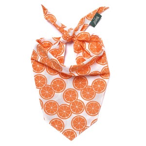 Fresh Slice Dog Bandana