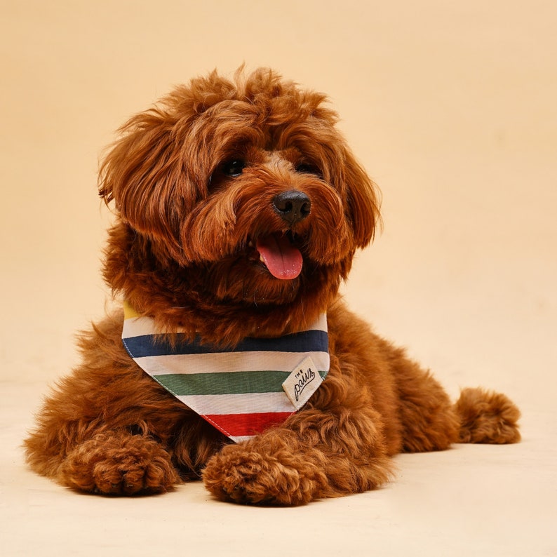 Frontier Dog Bandana image 2