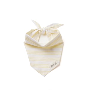 Sunshine - Summer Stripe Dog Bandana