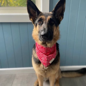 Rodeo Dog Bandana image 2