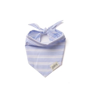 Windsurf - Summer Stripe Dog Bandana