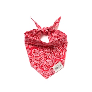 Rodeo Dog Bandana image 1