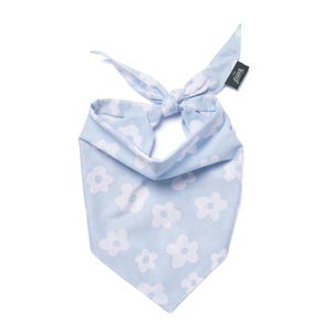 Noah Dog Bandana