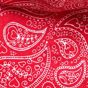 Rodeo Dog Bandana image 4