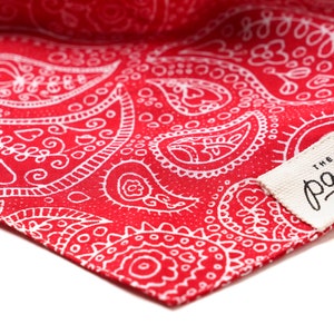 Rodeo Dog Bandana image 3