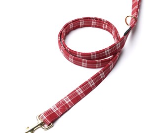 Cider Dog Leash