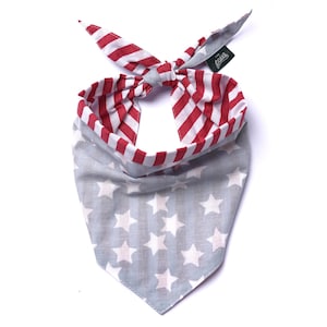 Nationale hondenbandana