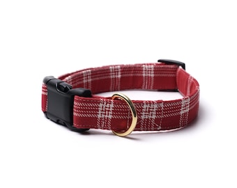 Cider Dog Collar