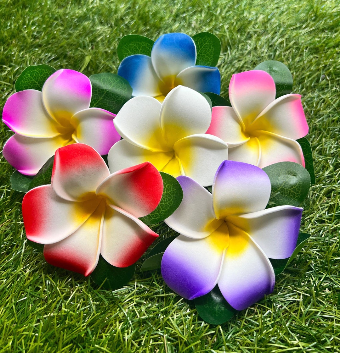 Buy Hawaiian Plumeria Flower Hair Clip Online in India - Etsy, image size:1080x1123