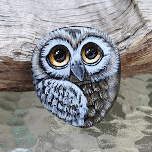 Netter wunderlicher gemalter Eulen-Felsen gemalter Stein Eulen-Felsenmalerei gemalter Eulen-Kieselvogel-Liebhabergeschenk Eulenliebhaber-Rocksteinanstrich Kunst