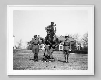 Soldier Horse Jump Print, Military History, Vintage Photo Print, Black and White Photo, Museum Quality Photo Art Print, Wall Art, Funny Art