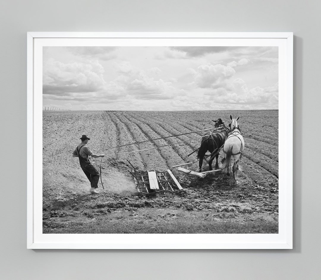 farming-print-farmer-harrowing-the-field-preparing-the-soil-black