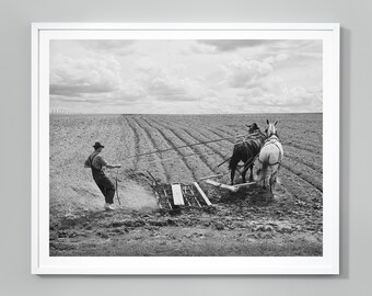 Farming  Print, Farmer Harrowing The Field, Preparing The Soil, Black and White Photograph, 1941, Museum Quality Home Decor Art