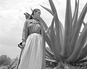 Frida Kahlo Print, Frida With Agave Plant Wall Art, Mexican Artist, Latina  Painter, Black and White Home Decor, 1937, Museum Quality Photo - Etsy