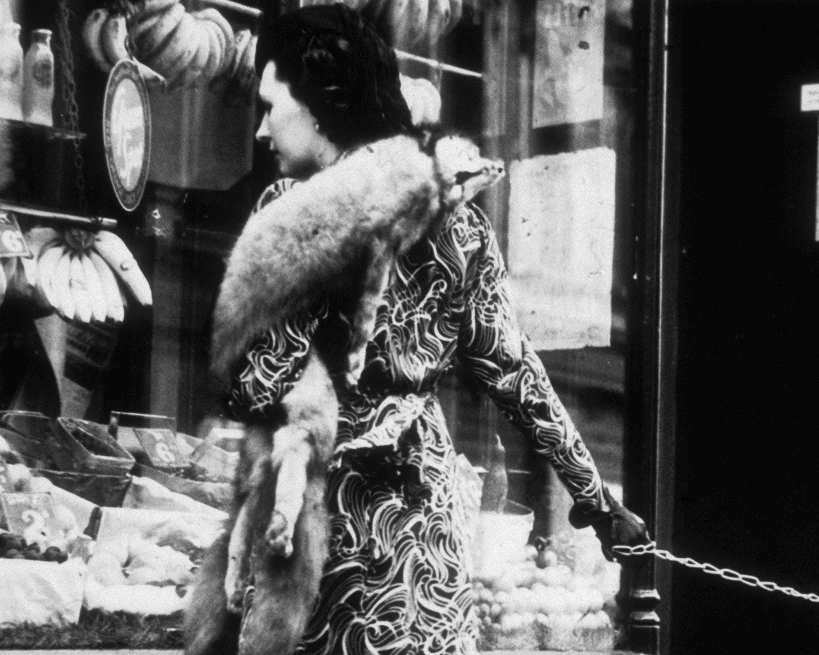 Buy Leopard on a Leash Print, Black and White Vintage Wall Art, Cheetah  Collar, Classic Animal Photo, Vintage Style, Museum Quality Home Decor  Online in India - Etsy, image size:2871x2297