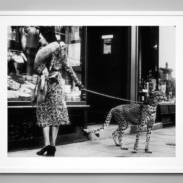 Leopard on a Leash Print, Cheetah Print, Leopard Print, Vintage Animal Photo, Vintage Style, Black and White Photo, Museum Quality Art Print