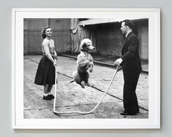 Poodle Jump Rope Print, French Poodle Print, Vintage Style, Black and White Photo, Museum Quality Photo Art Print