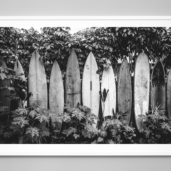 Surfboards Art Print, Vintage Surfboards, Black and White Photo, Surfing, Beach Print, Beach Art, Museum Quality Art Print