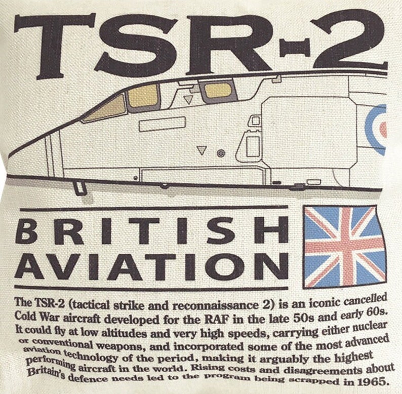 Cojín interior TSR 2 de ataque y reconocimiento BAC de British Aircraft Corporation incluido imagen 2