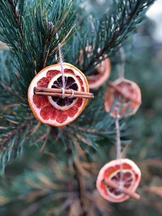 Christmas Tree Decoration Dried Grapefruit Slices Etsy