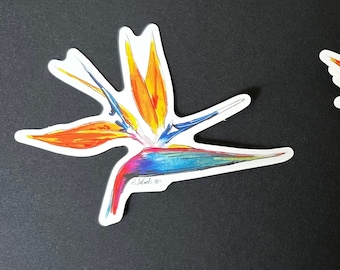 Birds of Paradise Flower Clear Sticker