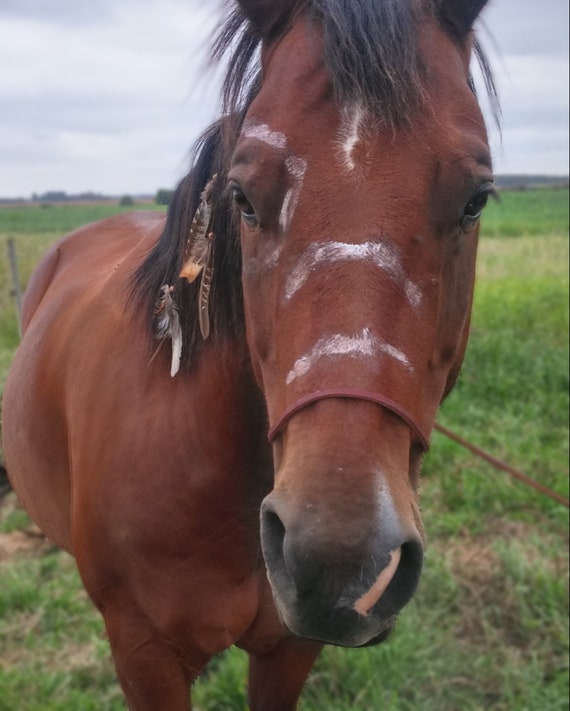 Native Mane Feathers / Horse Mane Ornament / Traditional Mane Etsy