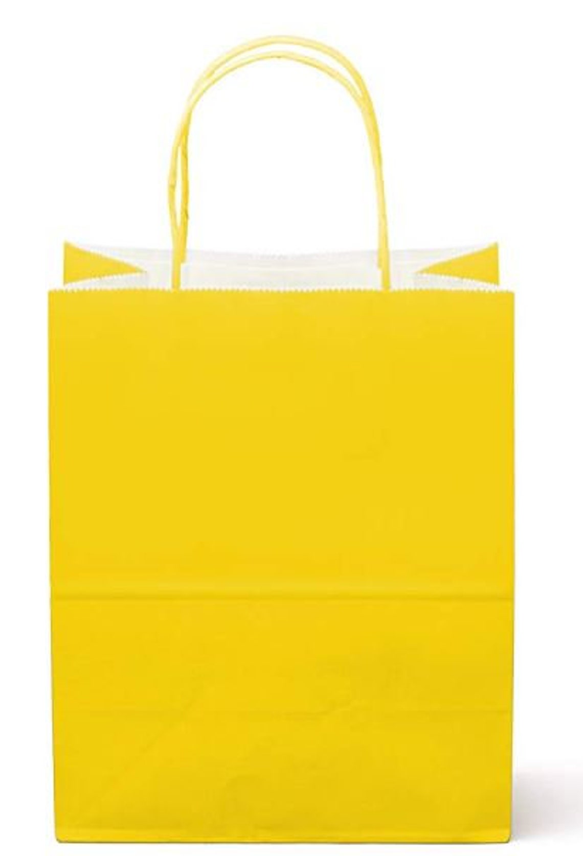 Medium Paper Kraft Gift Bags with Handles Pack of 12 Etsy